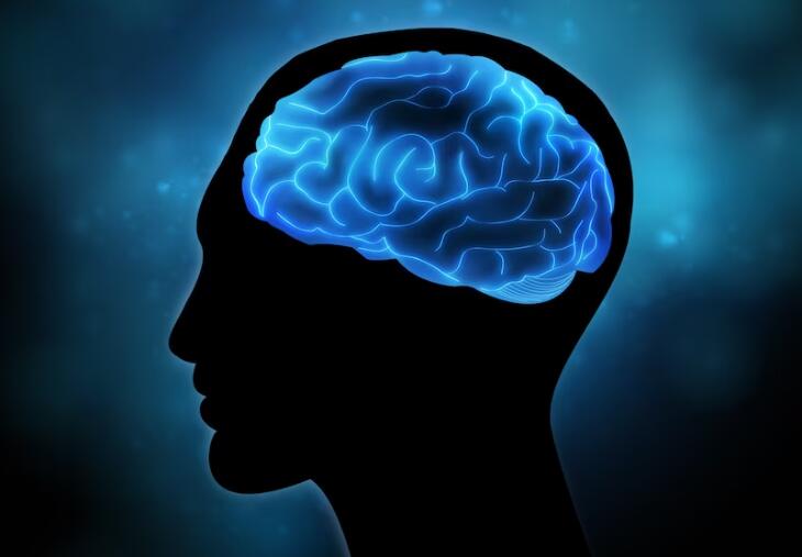 昏迷的程度分为哪几种情况？