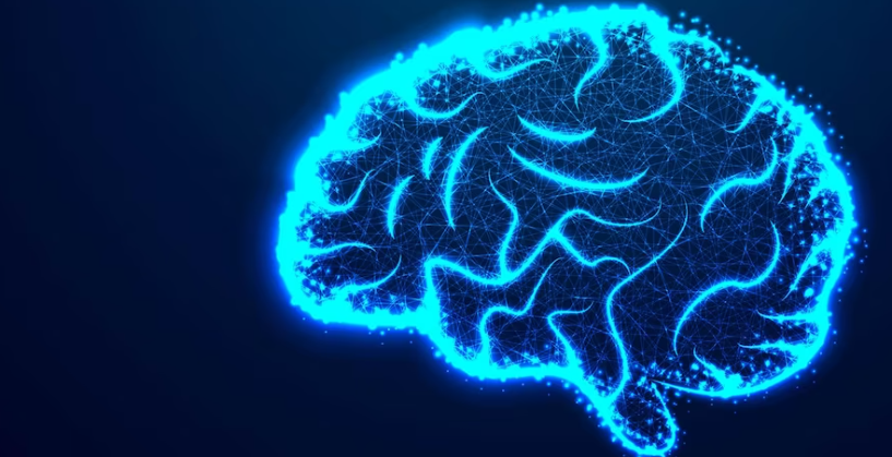 Plum学派对昏迷的分类