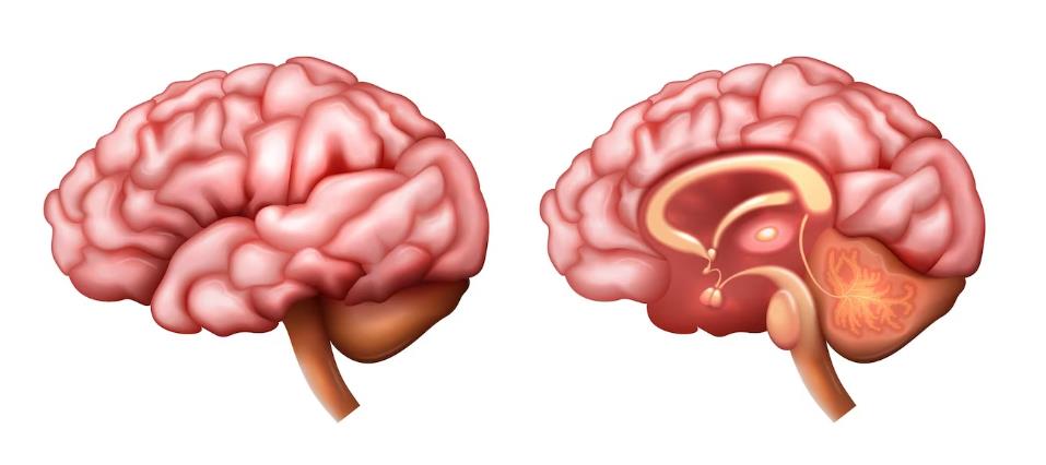深度昏迷清醒的前兆